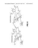 SITE-SPECIFIC DELIVERY OF NUCLEIC ACIDS BY COMBINING TARGETING LIGANDS WITH ENDOSOMOLYTIC COMPONENTS diagram and image