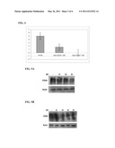 METHODS OF TREATING CANCER USING ANTI CD24 ANTIBODIES diagram and image