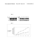 METHODS OF TREATING CANCER USING ANTI CD24 ANTIBODIES diagram and image