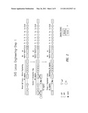 METHOD OF GENERATING SINGLE VL DOMAIN ANTIBODIES IN TRANSGENIC ANIMALS diagram and image