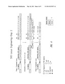 METHOD OF GENERATING SINGLE VL DOMAIN ANTIBODIES IN TRANSGENIC ANIMALS diagram and image