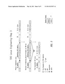 METHOD OF GENERATING SINGLE VL DOMAIN ANTIBODIES IN TRANSGENIC ANIMALS diagram and image