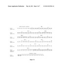 NOVEL HUMAN ANTI-R7V ANTIBODIES AND USES THEREOF diagram and image