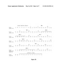 NOVEL HUMAN ANTI-R7V ANTIBODIES AND USES THEREOF diagram and image