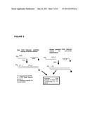 HUMAN PAPILLOMA VIRUS (HPV) DETECTION USING NUCLEIC ACID PROBES, MICROBEADS AND FLUORESCENT-ACTIVATED CELL SORTER (FACS) diagram and image