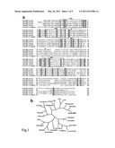 FAM26C POLYMORPHISMS AND USE THEREOF FOR THE DIAGNOSTIC AND TREATMENT OF LATE ONSET ALZHEIMER S DISEASE diagram and image