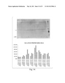 METHODS FOR THE DIAGNOSIS OF METABOLIC DISORDERS USING EPIMETABOLIC SHIFTERS, MULTIDIMENSIONAL INTRACELLULAR MOLECULES, OR ENVIRONMENTAL INFLUENCERS diagram and image