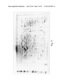 METHODS FOR THE DIAGNOSIS OF ONCOLOGICAL DISORDERS USING EPIMETABOLIC SHIFTERS, MULTIDIMENSIONAL INTRACELLULAR MOLECULES, OR ENVIRONMENTAL INFLUENCERS diagram and image