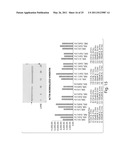 METHODS FOR THE DIAGNOSIS OF ONCOLOGICAL DISORDERS USING EPIMETABOLIC SHIFTERS, MULTIDIMENSIONAL INTRACELLULAR MOLECULES, OR ENVIRONMENTAL INFLUENCERS diagram and image