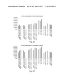 METHODS FOR THE DIAGNOSIS OF ONCOLOGICAL DISORDERS USING EPIMETABOLIC SHIFTERS, MULTIDIMENSIONAL INTRACELLULAR MOLECULES, OR ENVIRONMENTAL INFLUENCERS diagram and image