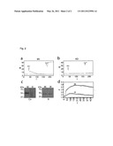 SCREENING FOR COMPOUNDS HAVING IMMUNOSUPPRESSANT ACTIVITY BY TESTING IMPACT ON LEUKOCYTE-SPECIFIC CALCIUM FLUXES diagram and image