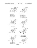 Method of producing tibolone metabolites by fermentation with Gibberella fujikuroi diagram and image