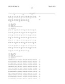 VMP-LIKE SEQUENCES OF PATHOGENIC BORRELIA SPECIES AND STRAINS diagram and image