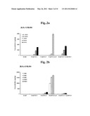 Methods for Effectively Coexpressing IL-12 and IL-23 diagram and image