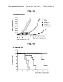 Methods for Effectively Coexpressing IL-12 and IL-23 diagram and image