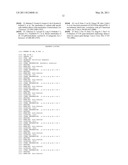 Methods for Effectively Coexpressing IL-12 and IL-23 diagram and image