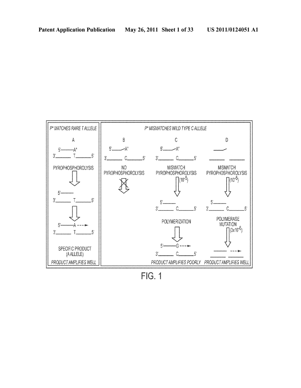 PYROPHOSPHOROLYSIS ACTIVATED POLYMERIZATION (PAP) - diagram, schematic, and image 02