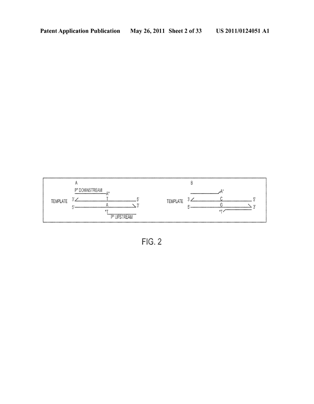 PYROPHOSPHOROLYSIS ACTIVATED POLYMERIZATION (PAP) - diagram, schematic, and image 03