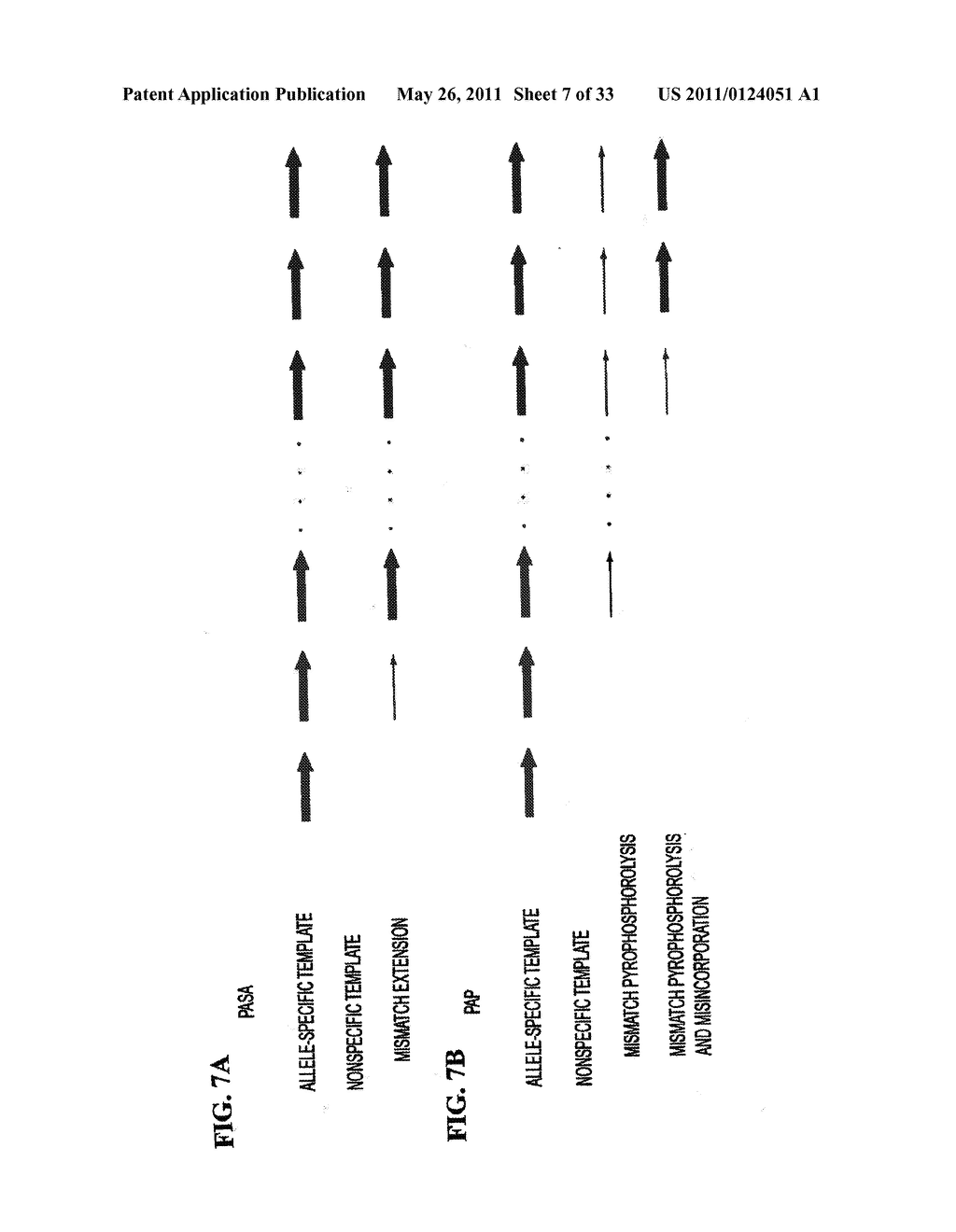 PYROPHOSPHOROLYSIS ACTIVATED POLYMERIZATION (PAP) - diagram, schematic, and image 08