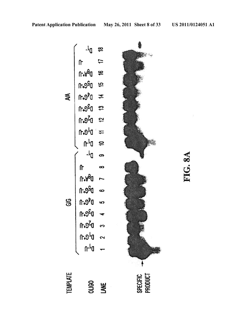 PYROPHOSPHOROLYSIS ACTIVATED POLYMERIZATION (PAP) - diagram, schematic, and image 09