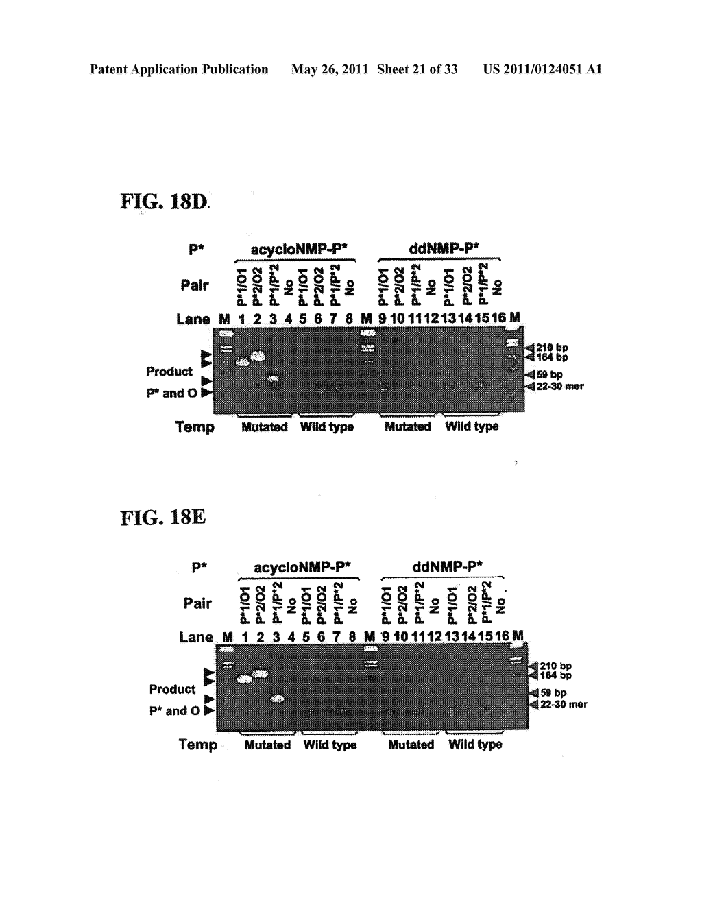 PYROPHOSPHOROLYSIS ACTIVATED POLYMERIZATION (PAP) - diagram, schematic, and image 22