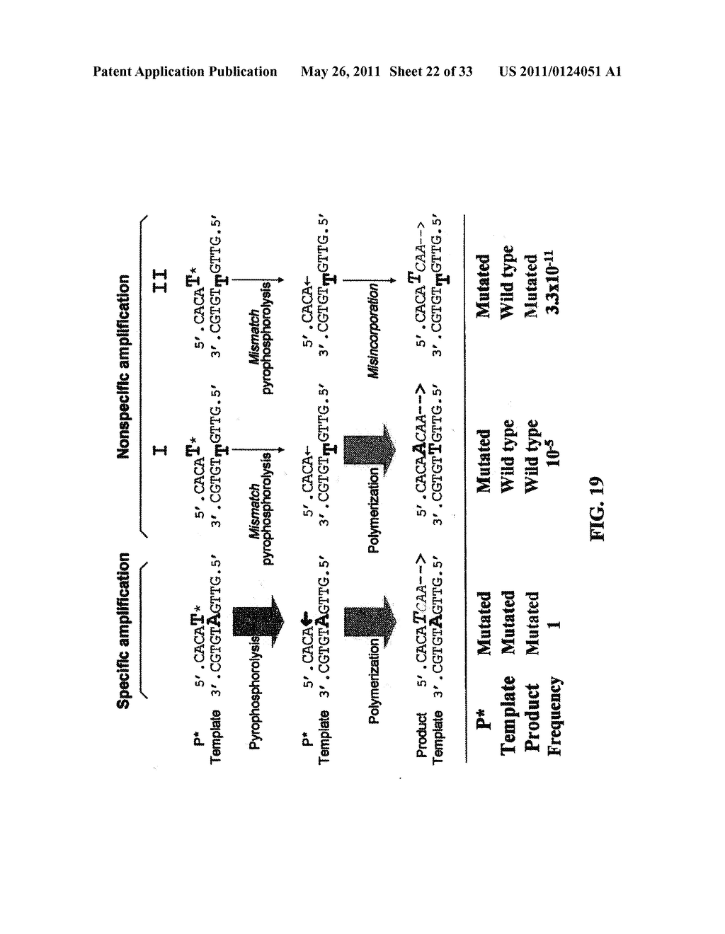 PYROPHOSPHOROLYSIS ACTIVATED POLYMERIZATION (PAP) - diagram, schematic, and image 23