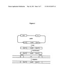 CONSTRUCTION OF GENETICALLY TRACTABLE INDUSTRIAL YEAST STRAINS diagram and image