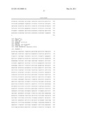 Expression vector for expressing recombinant protein in Cyanobacterium diagram and image