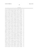 Expression vector for expressing recombinant protein in Cyanobacterium diagram and image