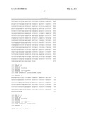 Expression vector for expressing recombinant protein in Cyanobacterium diagram and image