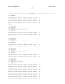 Expression vector for expressing recombinant protein in Cyanobacterium diagram and image