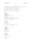 Expression vector for expressing recombinant protein in Cyanobacterium diagram and image