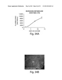 Mixed Cell Populations For Tissue Repair And Separation Technique For Cell Processing diagram and image