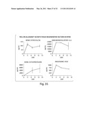 Mixed Cell Populations For Tissue Repair And Separation Technique For Cell Processing diagram and image