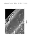 CNT-INFUSED FIBERS IN CARBON-CARBON COMPOSITES diagram and image