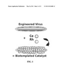 Biotemplated inorganic materials diagram and image