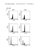 INHIBITORS OF HUMAN METHIONINE AMINOPEPTIDASE 1 AND METHODS OF TREATING DISORDERS diagram and image