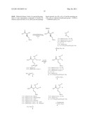 ARYL-SULPHONAMIDIC DIMERS AS METALLOPROTEASES INHIBITORS diagram and image