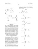 OXAZOLOBENZIMIDAZOLE DERIVATIVES diagram and image