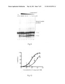 MOLECULES COMPRISING A BIS(HETEROARYL)MALEIMIDE BACKBONE, AND USE THEREOF IN THE INHIBITION OF DDE/DDD ENZYMES diagram and image