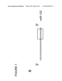 Methods And Compositions For Reducing Viral Genome Amounts In A Target Cell diagram and image