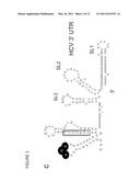 Methods And Compositions For Reducing Viral Genome Amounts In A Target Cell diagram and image