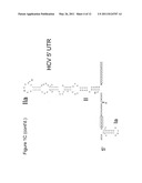 Methods And Compositions For Reducing Viral Genome Amounts In A Target Cell diagram and image