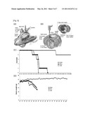 ANTI-CANCER COMPOSITION COMPRISING MICRORNA MOLECULES diagram and image