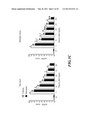 METHODS OF TREATING TRAUMATIC BRAIN INJURY BY ADMINISTERING BAICALEIN PREPARATION diagram and image