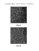 METHODS OF TREATING TRAUMATIC BRAIN INJURY BY ADMINISTERING BAICALEIN PREPARATION diagram and image