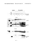 Treatment Of Neurodegenerative Diseases And Cancer Of The Brain Using Histone Deacetylase Inhibitors diagram and image