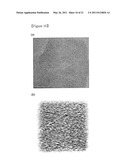 SUPRAMOLECULAR STRUCTURE OF HAVING SUB-NANO SCALE ORDERING diagram and image