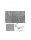 SUPRAMOLECULAR STRUCTURE OF HAVING SUB-NANO SCALE ORDERING diagram and image