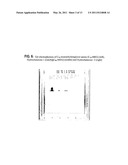 METALLOFULLERENE CONTRAST AGENTS diagram and image